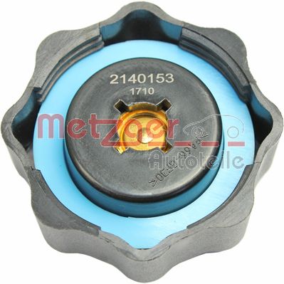 Buson vas expansiune METZGER 2140153